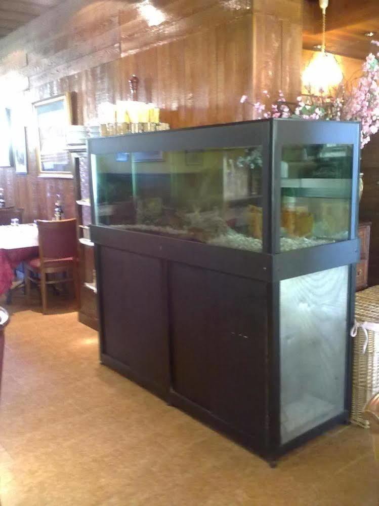 La Terrazza 호텔 페스키에라델가르다 외부 사진